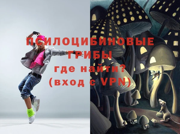 скорость Богородицк