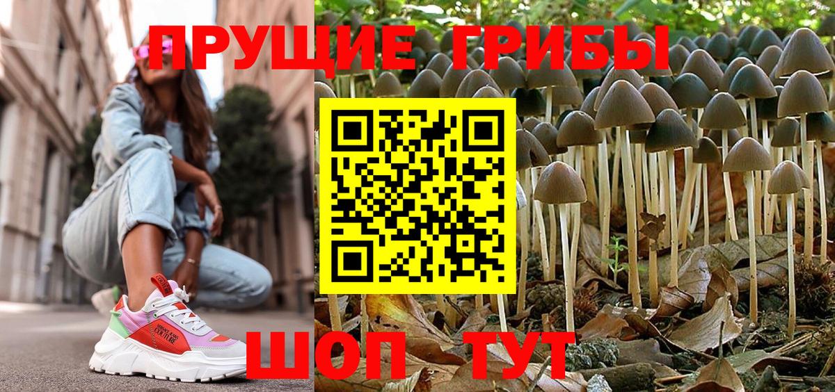 Псилоцибиновые грибы мухоморы Пыть-Ях